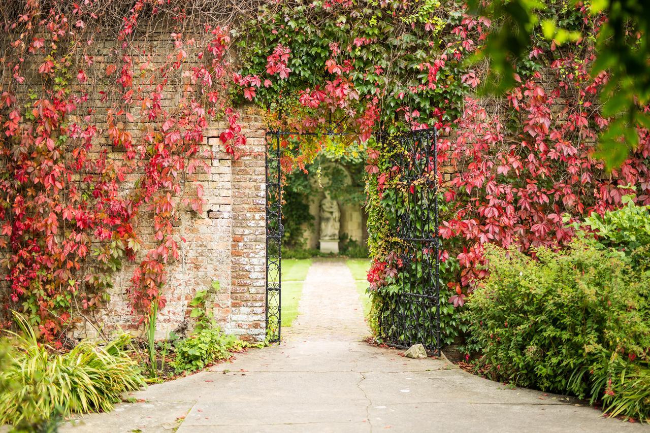 Eastwell Manor, Champneys Hotel & Spa Ashford  Exteriér fotografie